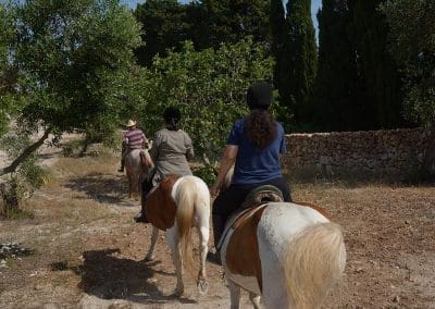 Agriturismo CutiMari Otranto Cavalli