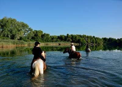 Agriturismo CutiMari Otranto Cavalli Laghi Alimini