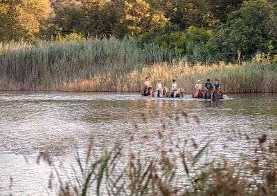 Agriturismo CutiMari Otranto Cavalli Laghi Alimini