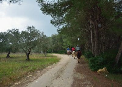 Agriturismo CutiMari Otranto Cavalli